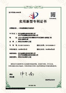 一種祛痘微晶貼及祛痘組件