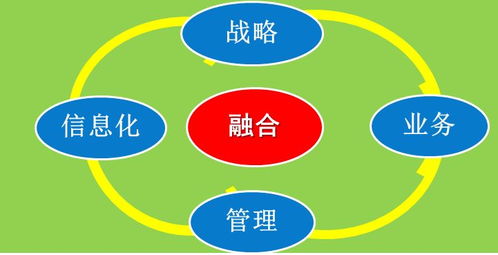 數字化轉型與企業(yè)核心能力重構——以中國中鋼集團公司為例的啟示